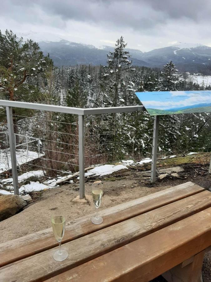 Apartament Lilu Sklářská Poruba Exteriér fotografie